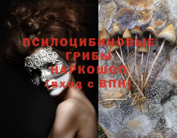эйфоретик Сатка