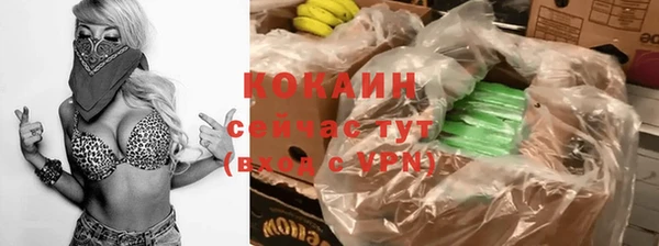 шишки Алексин