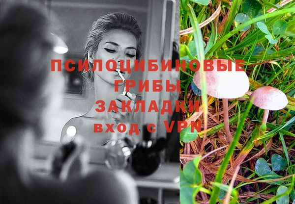 шишки Алексин