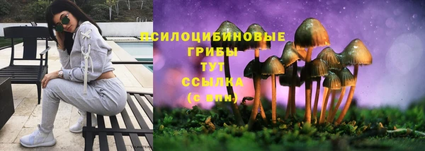 трава Алексеевка